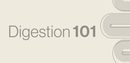 Digestion 101 - From chewing to toilet habits – and everywhere in between.