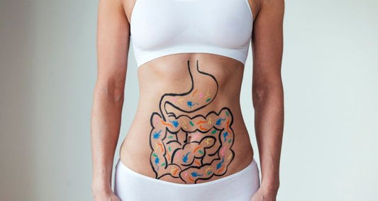 Love Your Gut - Part 1