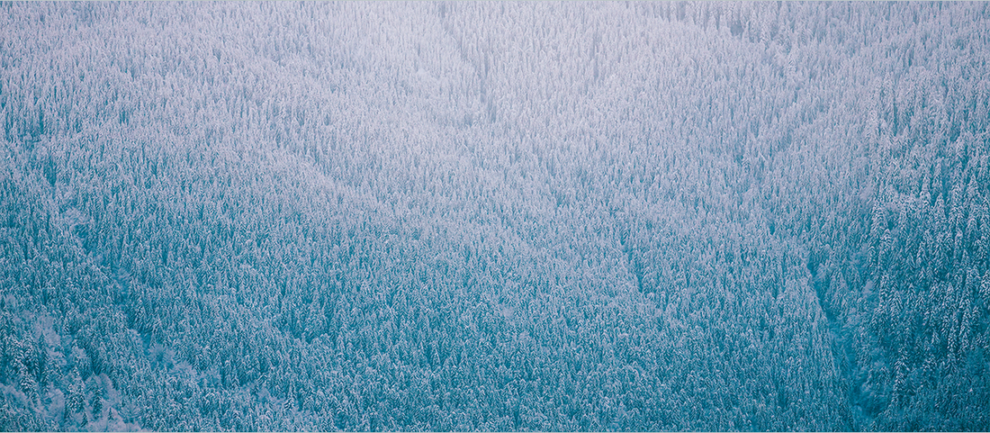 The winter skin survival guide: Five ingredients to soothe seasonal dry skin