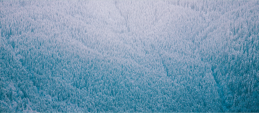 The winter skin survival guide: Five ingredients to soothe seasonal dry skin