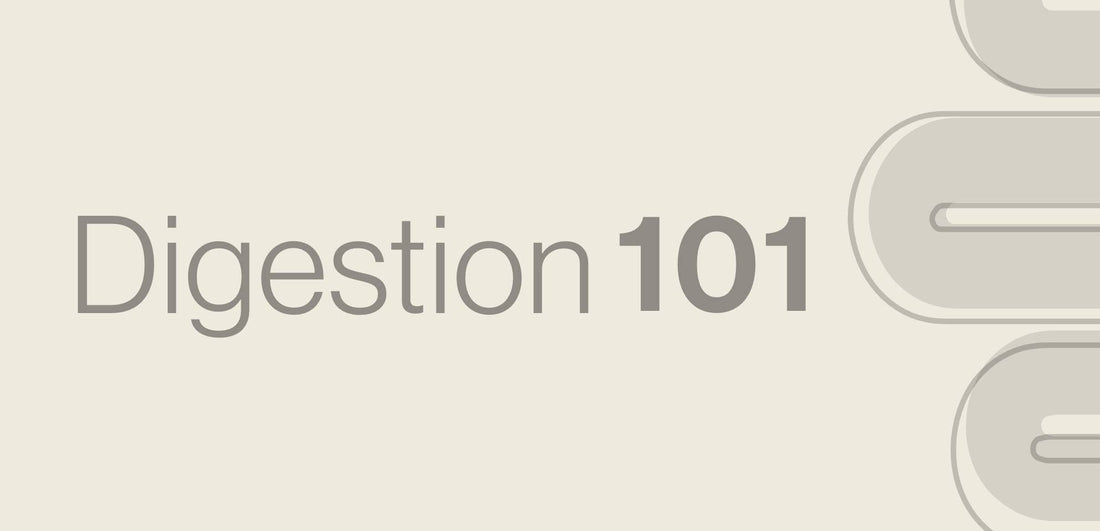 Digestion 101 - From chewing to toilet habits – and everywhere in between.