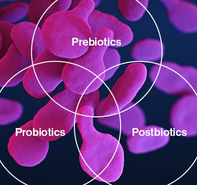 Ingredient spotlight: prebiotics, probiotics and postbiotics
